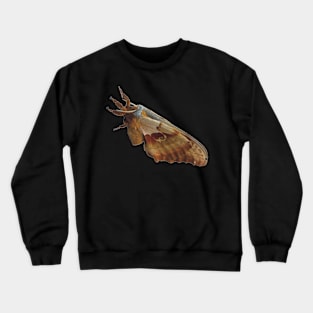 Giant Polyphemus Moth Crewneck Sweatshirt